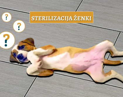 sterilizacija ženki