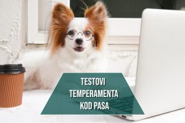 testovi temperamenta kod pasa