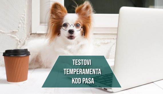 testovi temperamenta kod pasa