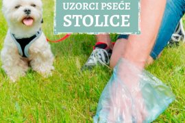UZROCI PSEĆE STOLICE