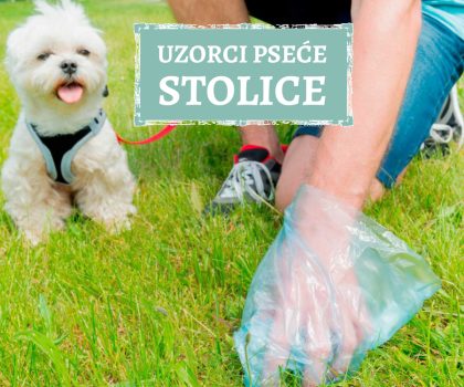 UZROCI PSEĆE STOLICE