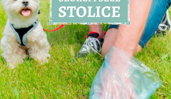 UZROCI PSEĆE STOLICE