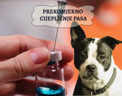 PREKOMJERNO CIJEPLJENJE PASA