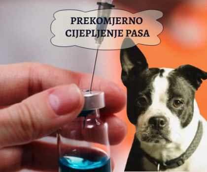 PREKOMJERNO CIJEPLJENJE PASA