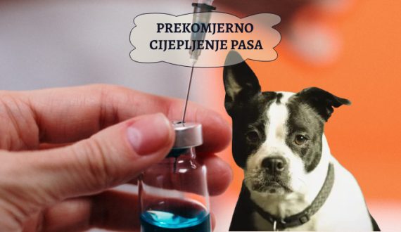 PREKOMJERNO CIJEPLJENJE PASA