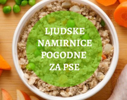 ljudske-namirnice-za-pse