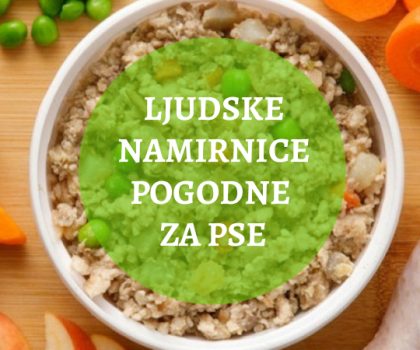 ljudske-namirnice-za-pse