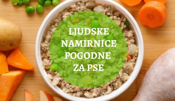ljudske-namirnice-za-pse