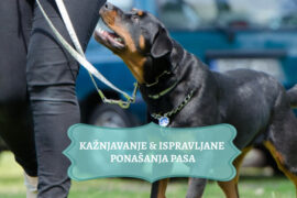 KAŽNJAVANJE & ISPRAVLJANJE PONAŠANJA KOD PASA