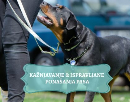KAŽNJAVANJE & ISPRAVLJANJE PONAŠANJA KOD PASA