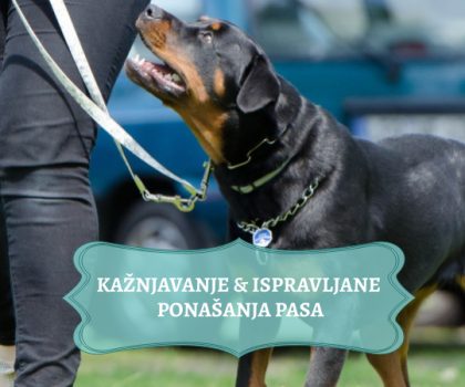 KAŽNJAVANJE & ISPRAVLJANJE PONAŠANJA KOD PASA