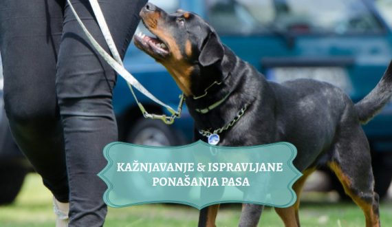 KAŽNJAVANJE & ISPRAVLJANJE PONAŠANJA KOD PASA