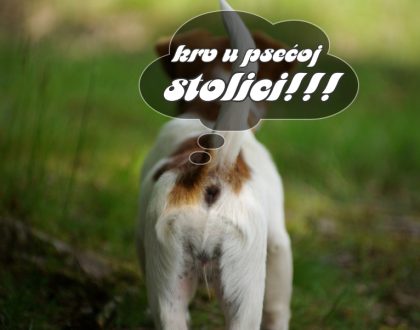 KRV U PSEĆOJ STOLICI
