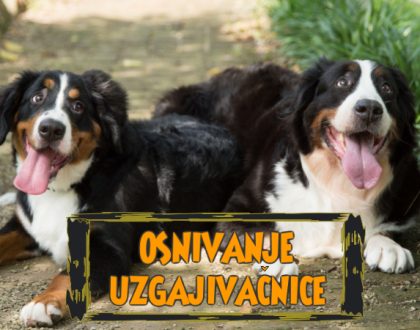 OSNIVANJE UZGAJIVAČNICE