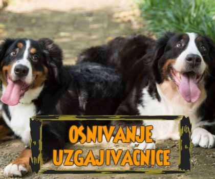 OSNIVANJE UZGAJIVAČNICE