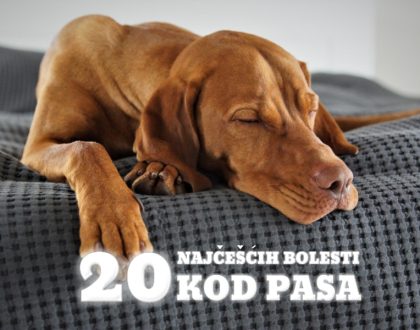 20 NAJČEŠĆIH BOLESTI KOD PASA