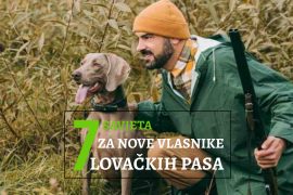 7 savjeta za nove vlasnike lovačkih pasa