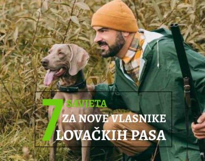 7 savjeta za nove vlasnike lovačkih pasa