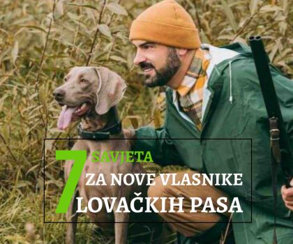 7 savjeta za nove vlasnike lovačkih pasa