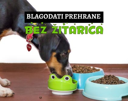 blagodati prehrane bez žitarica