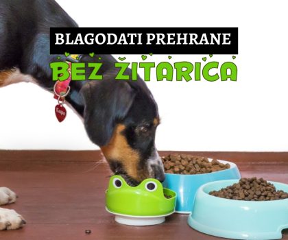 blagodati prehrane bez žitarica