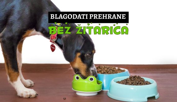 blagodati prehrane bez žitarica