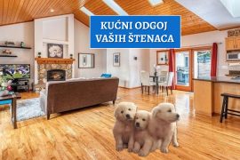 kućni odgoj vaših štenaca