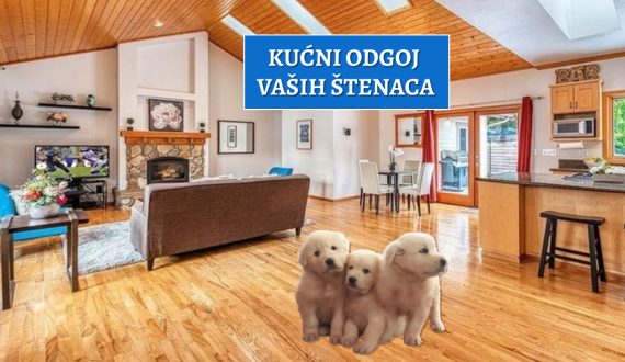 kućni odgoj vaših štenaca