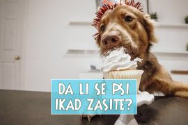 DE LI SE PSI IKAD ZASITE