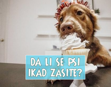 DE LI SE PSI IKAD ZASITE