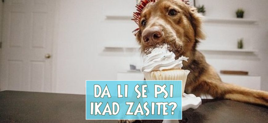 DE LI SE PSI IKAD ZASITE