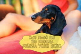 KAKO POMOĆI PSU KOD PROBLEMA VRŠENJA VELIKE NUŽDE