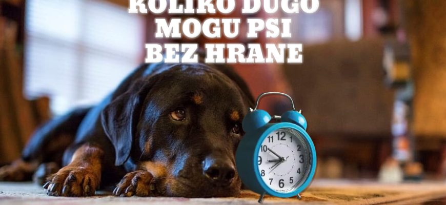 KOLIKO DUGO MOGU PSI BEZ HRANE