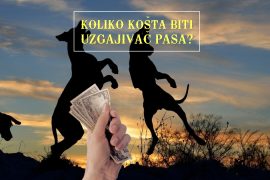 KOLIKO KOŠTA BITI UZGAJIVAČ PASA
