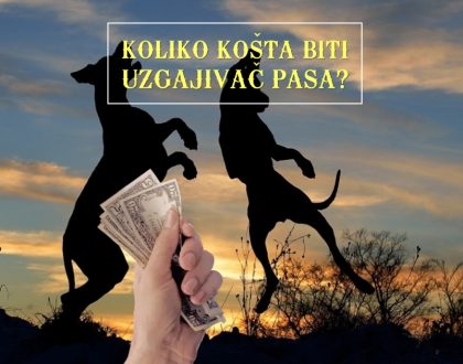 KOLIKO KOŠTA BITI UZGAJIVAČ PASA