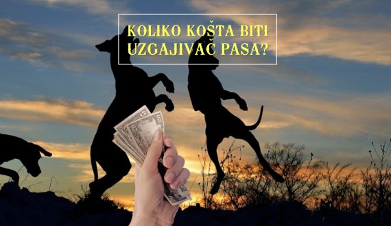 KOLIKO KOŠTA BITI UZGAJIVAČ PASA