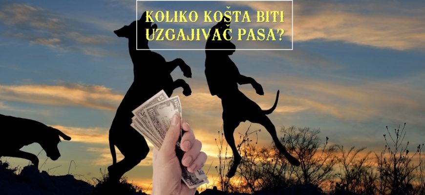 KOLIKO KOŠTA BITI UZGAJIVAČ PASA