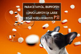 LJUDSKI LJEKOVI KOJE MOGU KORISTITI PSI