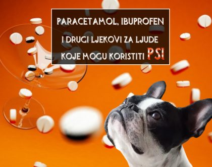 LJUDSKI LJEKOVI KOJE MOGU KORISTITI PSI