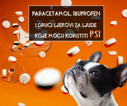 LJUDSKI LJEKOVI KOJE MOGU KORISTITI PSI