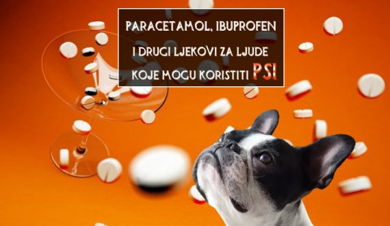 LJUDSKI LJEKOVI KOJE MOGU KORISTITI PSI
