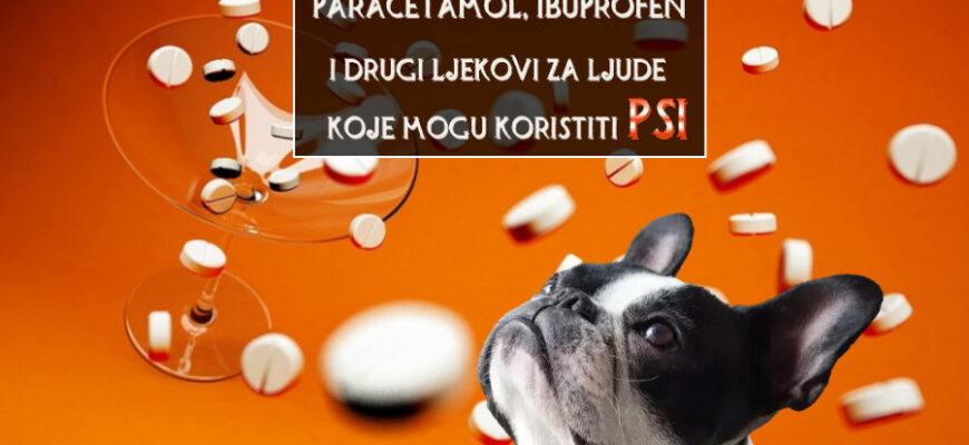 LJUDSKI LJEKOVI KOJE MOGU KORISTITI PSI