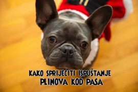 kako spriječiti ispuštanje plinova kod pasa