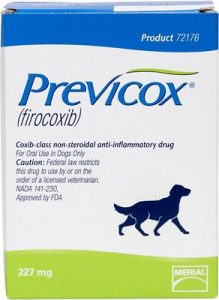 Previcox (firocoxib)