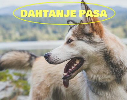 DAHTANJE PASA