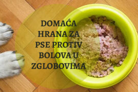 DOMAĆA HRANA ZA PSE PROTIV BOLOVA U ZGLOBOVIMA