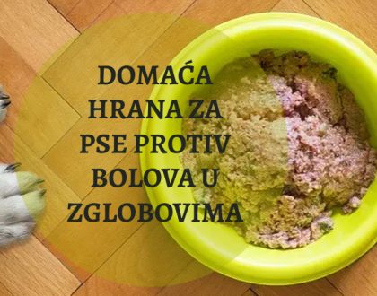 DOMAĆA HRANA ZA PSE PROTIV BOLOVA U ZGLOBOVIMA