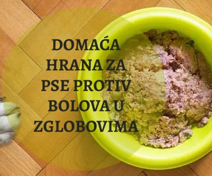 DOMAĆA HRANA ZA PSE PROTIV BOLOVA U ZGLOBOVIMA