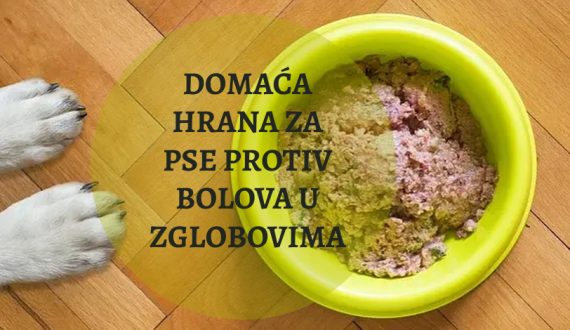DOMAĆA HRANA ZA PSE PROTIV BOLOVA U ZGLOBOVIMA