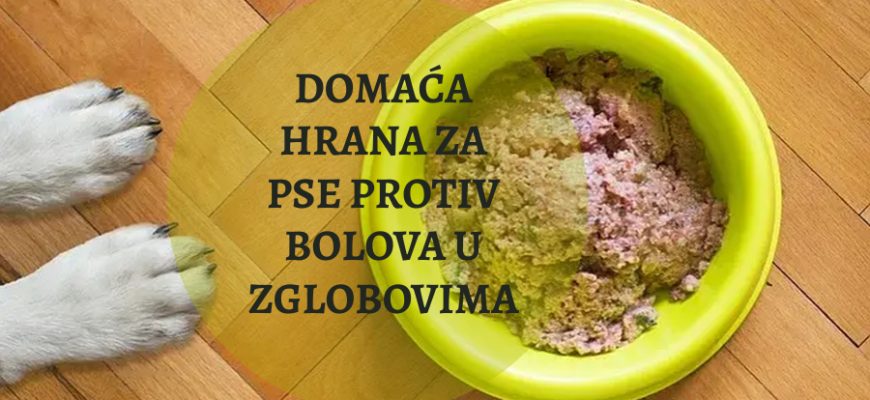 DOMAĆA HRANA ZA PSE PROTIV BOLOVA U ZGLOBOVIMA